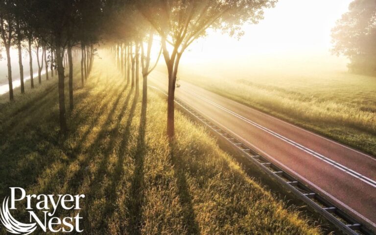 401 Prophetic Morning Declarations