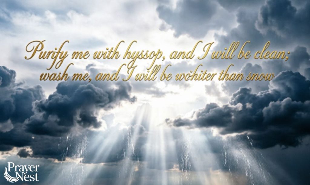 Declaring and Walking in Your Freedom